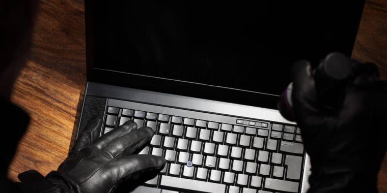 identity fraud insurance