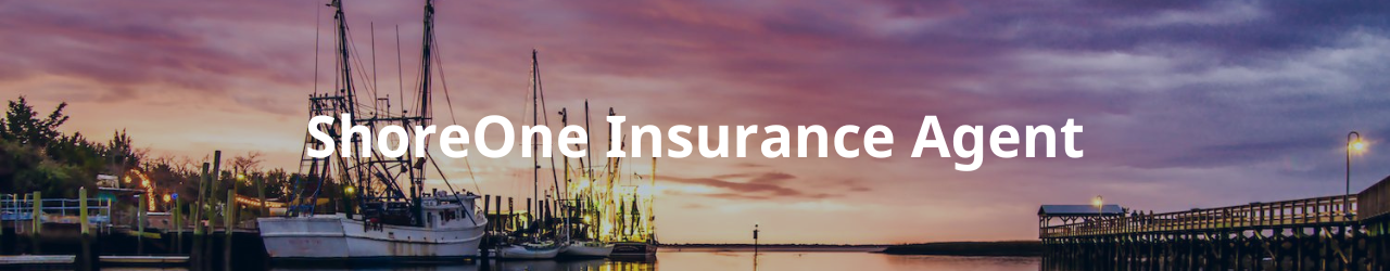Our Insurance Carrier Partners - ShoreOne